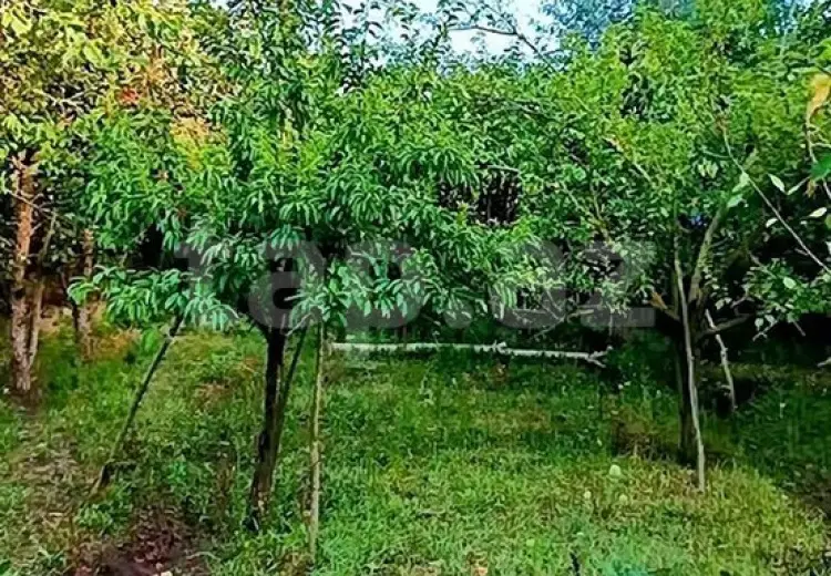 0 m² Obyekt / Ofis , Bakı