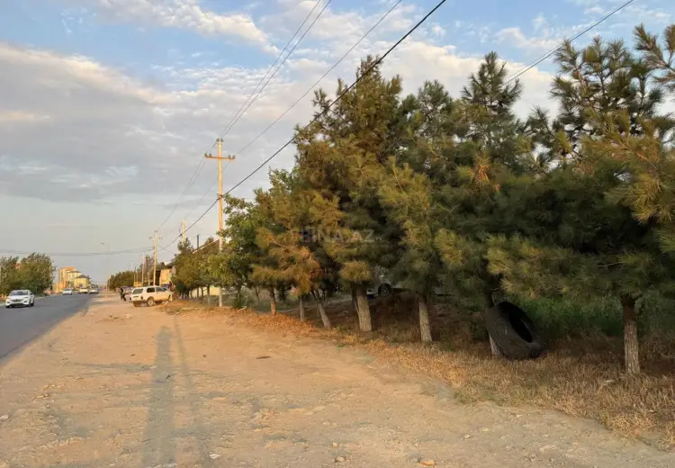 12 sot Torpaq Satılır, Saray, Abşeron