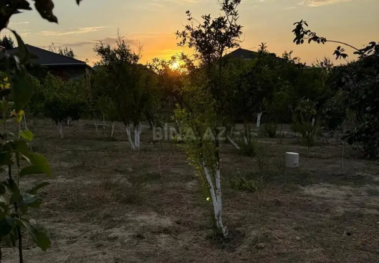12 sot Torpaq Satılır, Saray, Abşeron