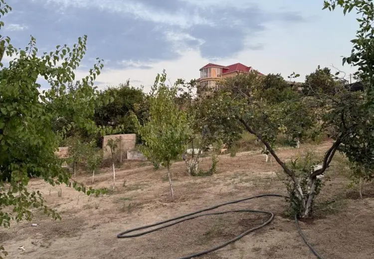 12 sot Torpaq Satılır, Saray, Abşeron