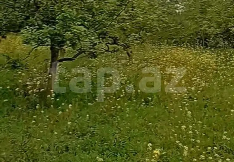 3 otaqlı mənzil , Bərdə