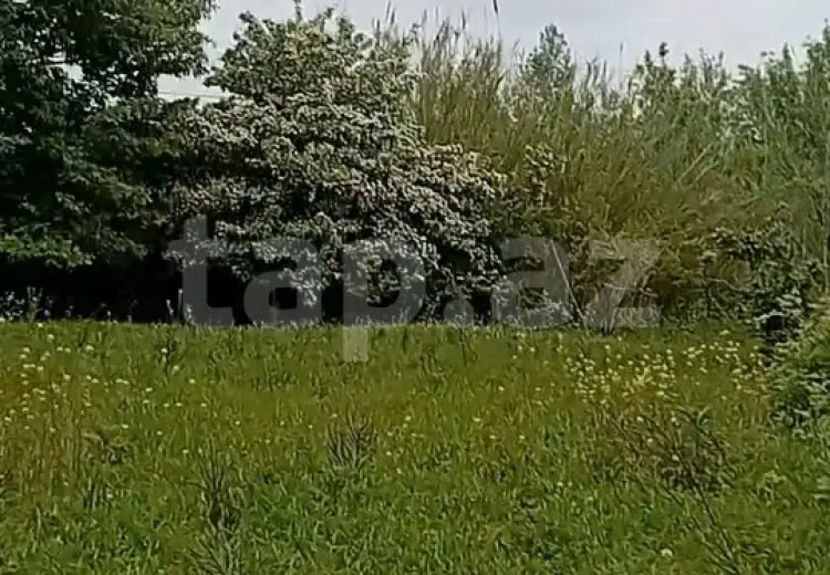 3 otaqlı mənzil , Bərdə