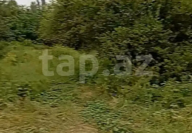 3 otaqlı mənzil , Bərdə