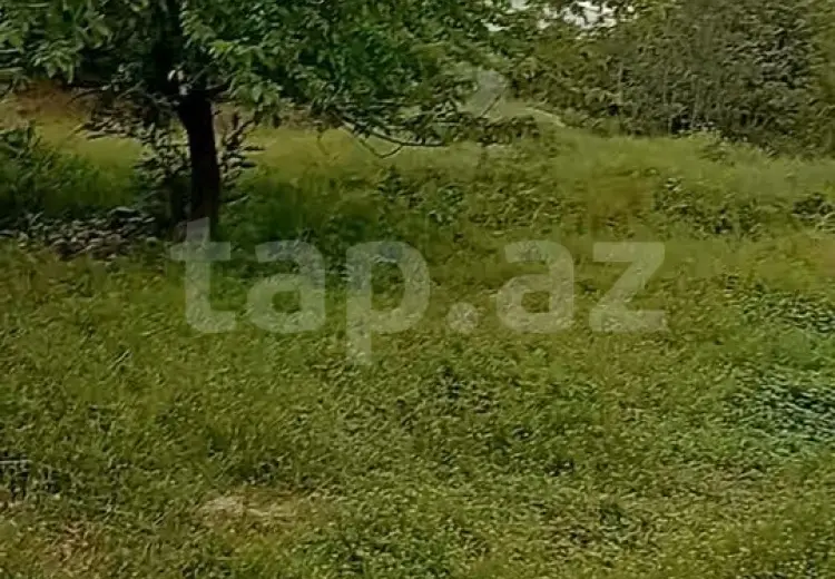 3 otaqlı mənzil , Bərdə