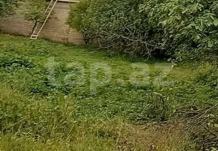 3 otaqlı mənzil , Bərdə