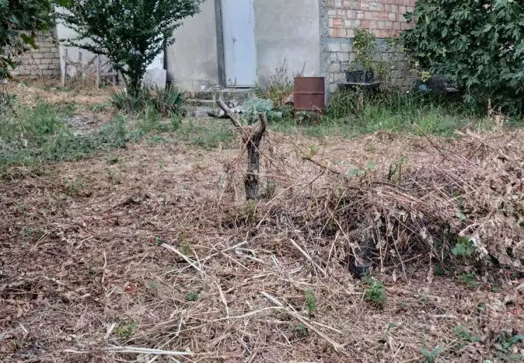 0 m² Obyekt / Ofis , İsmayıllı