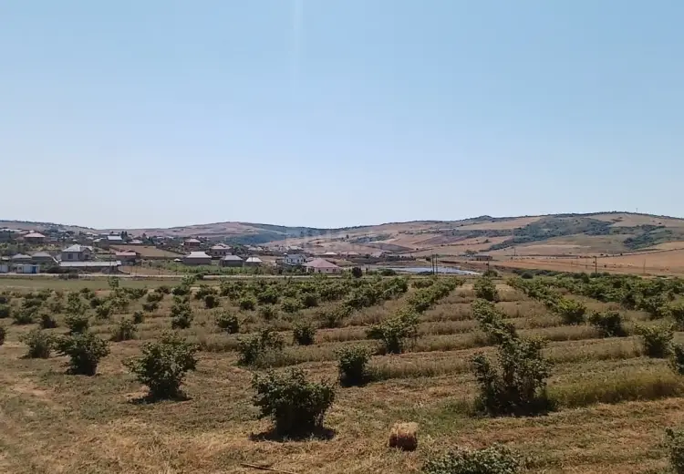 440 sot Torpaq Satılır, Şamaxı