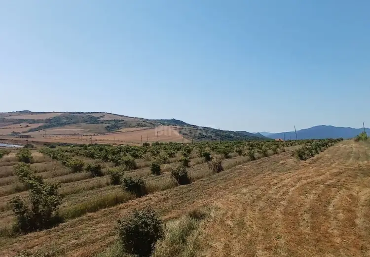 440 sot Torpaq Satılır, Şamaxı