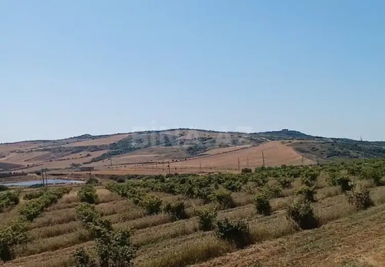 440 sot Torpaq Satılır, Şamaxı