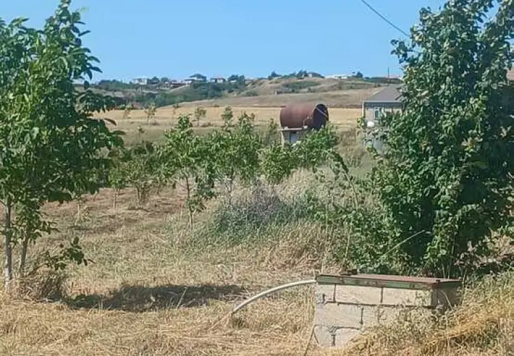 440 sot Torpaq Satılır, Şamaxı