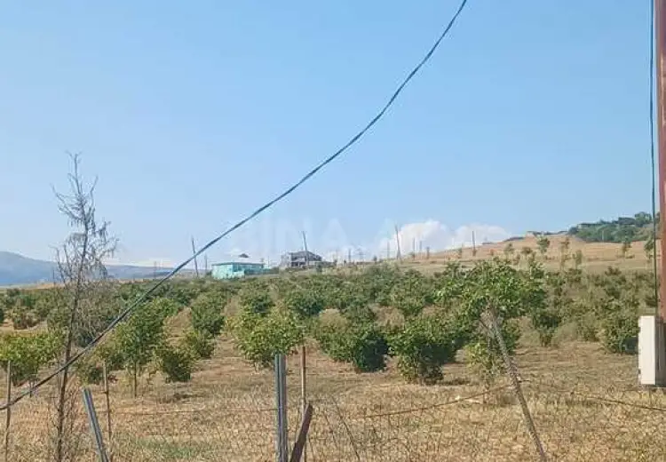440 sot Torpaq Satılır, Şamaxı