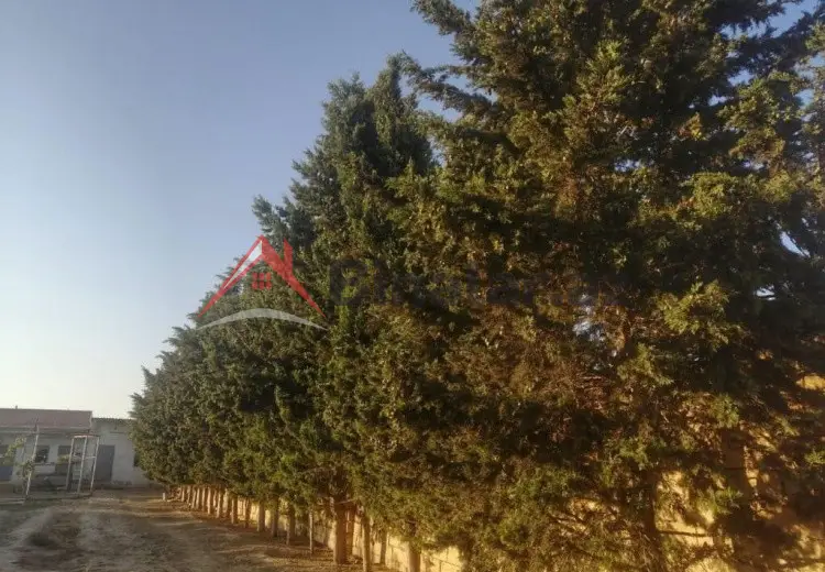 12 sot Torpaq Satılır, Saatlı