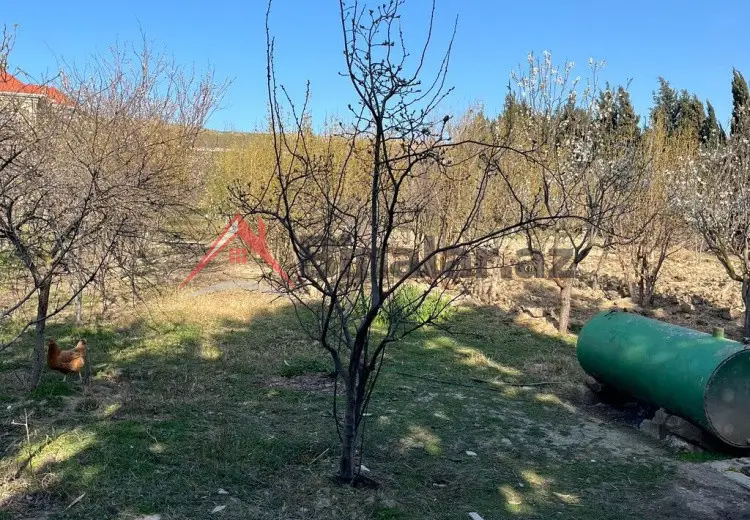 12 sot Torpaq Satılır, Saatlı