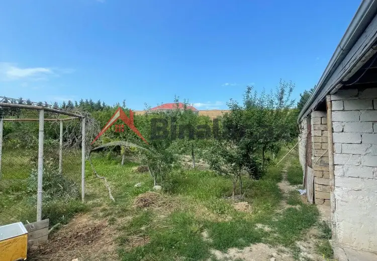 12 sot Torpaq Satılır, Saatlı