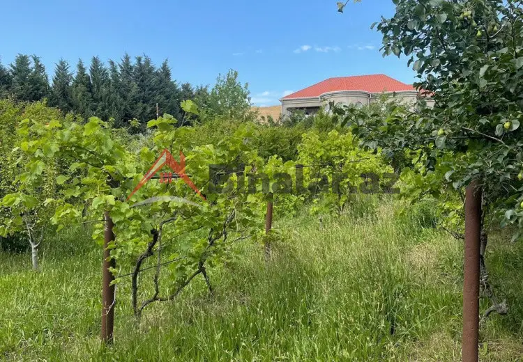 12 sot Torpaq Satılır, Saatlı