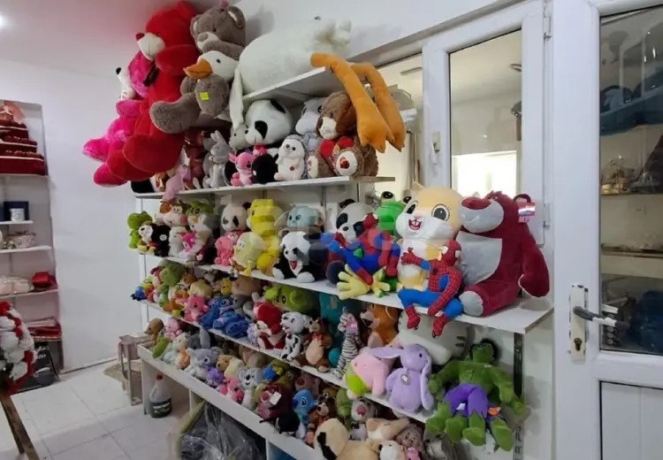 0 m² Obyekt / Ofis , Masazır, Abşeron