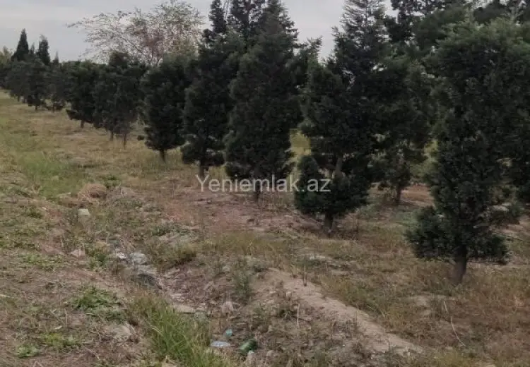 15 sot Torpaq Satılır, Sumqayıt şəh., Sumqayıt