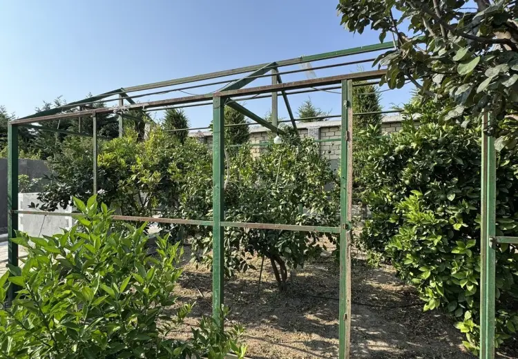 14.5 sot Torpaq Satılır, Fatmayı, Abşeron