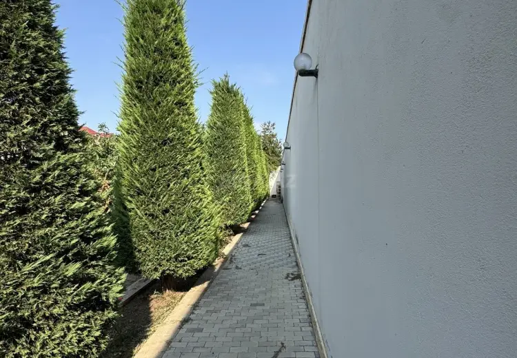 14.5 sot Torpaq Satılır, Fatmayı, Abşeron
