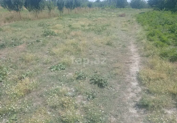 0 m² Obyekt / Ofis , Quba
