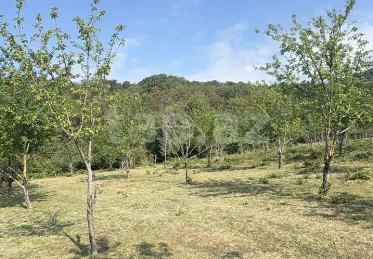 0 m² Obyekt / Ofis , İsmayıllı