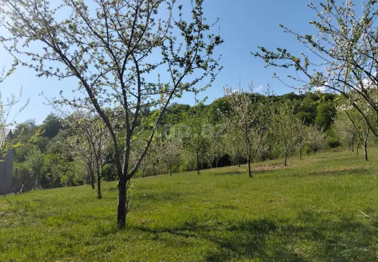 0 m² Obyekt / Ofis , İsmayıllı