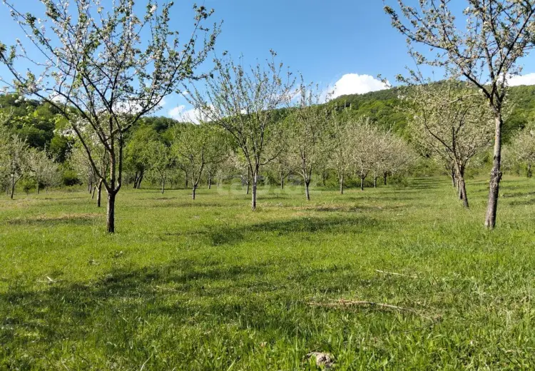 0 m² Obyekt / Ofis , İsmayıllı