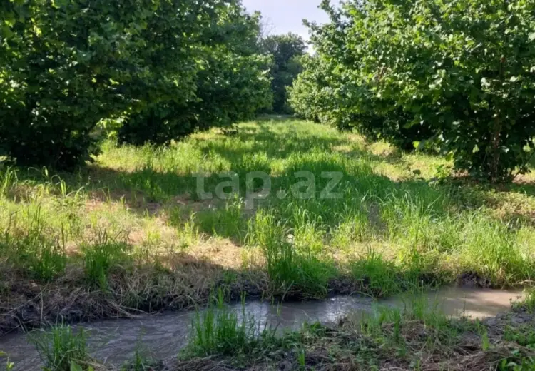 0 m² Obyekt / Ofis , Qusar
