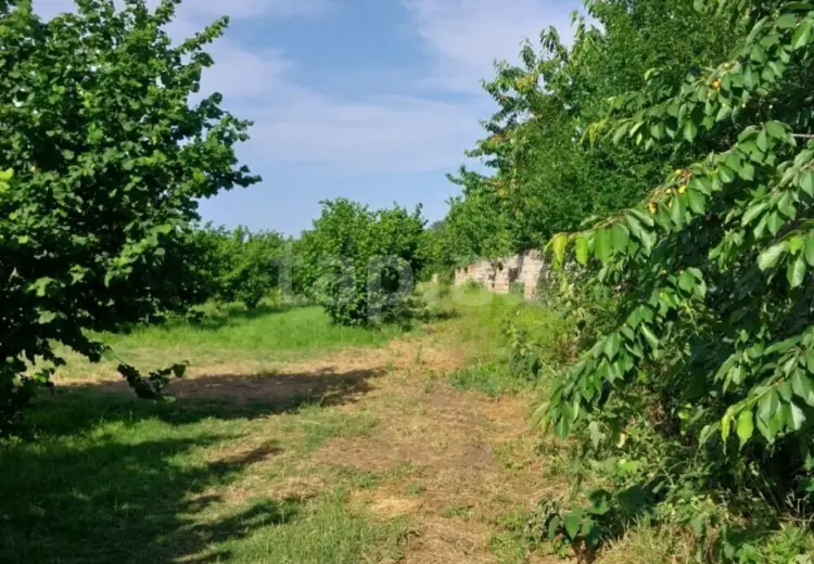 0 m² Obyekt / Ofis , Qusar