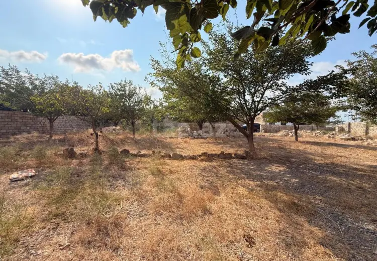 0 m² Obyekt / Ofis , Mərdəkan, Xəzər, Bakı