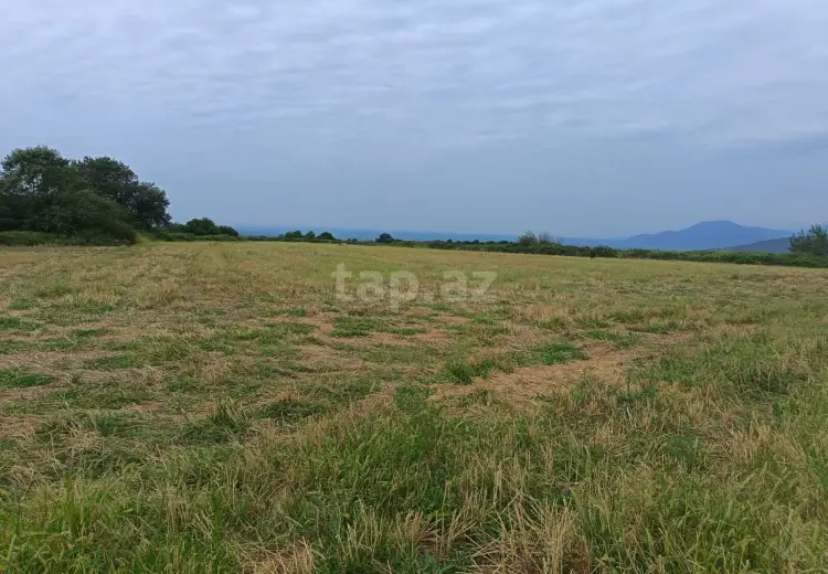 0 m² Obyekt / Ofis , Qax
