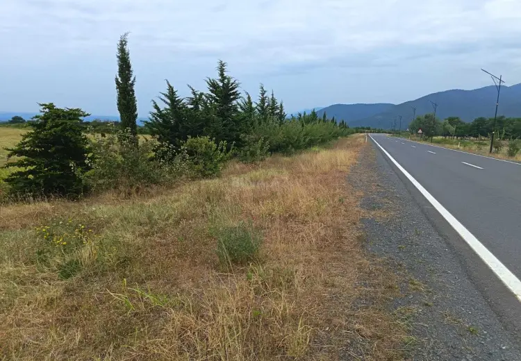 130 sot Torpaq Satılır, Qax