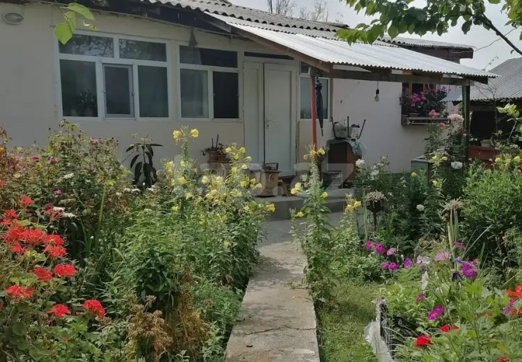 3 otaqlı mənzil , Qəbələ