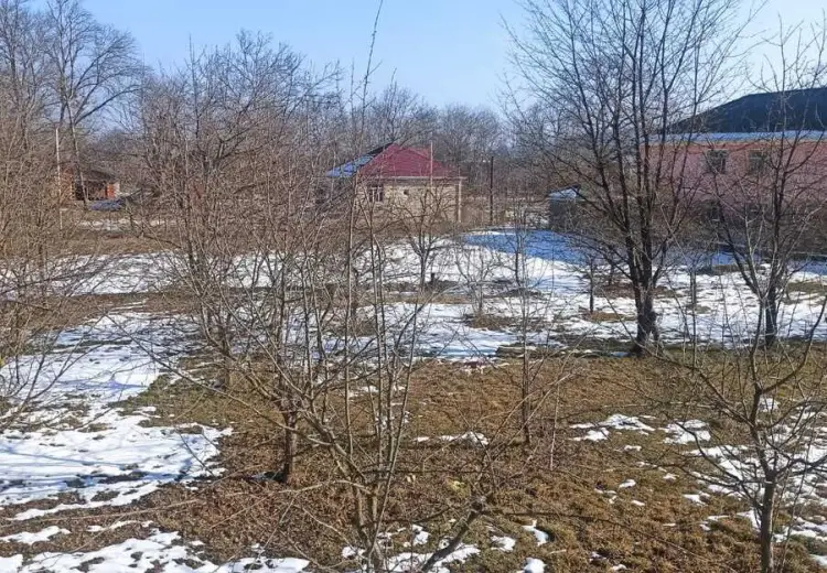 10 sot Torpaq Satılır, Qusar