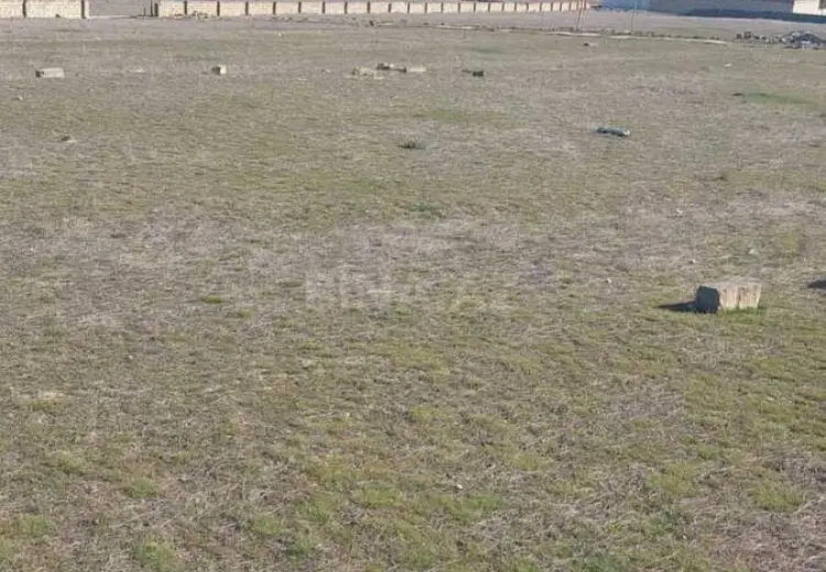 60 sot Torpaq Satılır, Novxanı, Abşeron