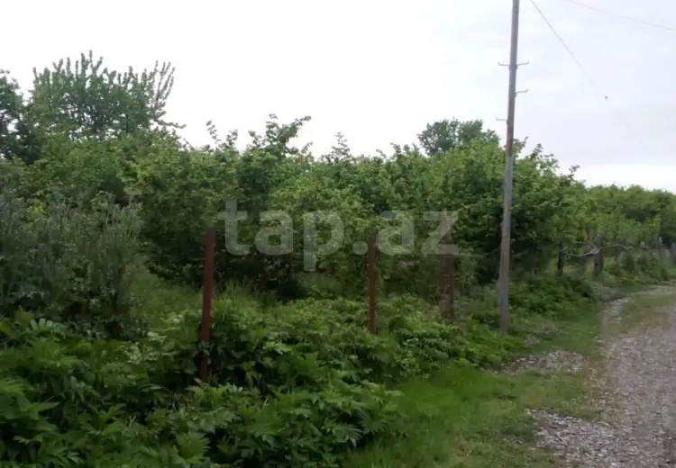 0 m² Obyekt / Ofis , Xaçmaz