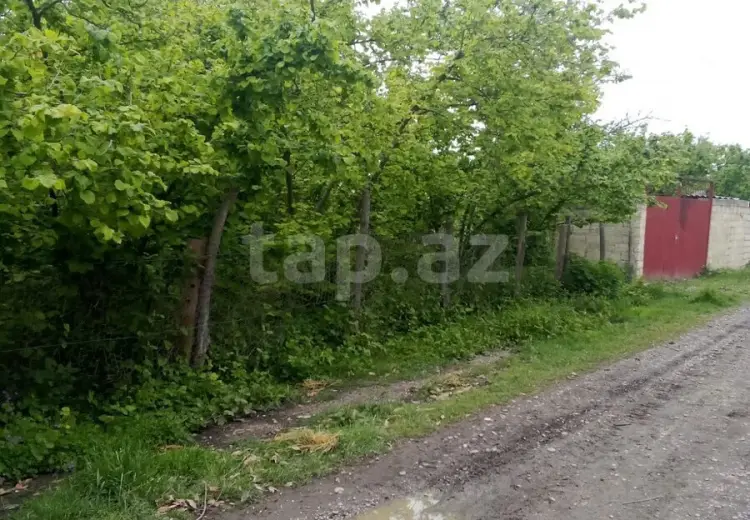 0 m² Obyekt / Ofis , Xaçmaz