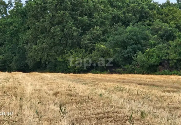 0 m² Obyekt / Ofis , Xaçmaz