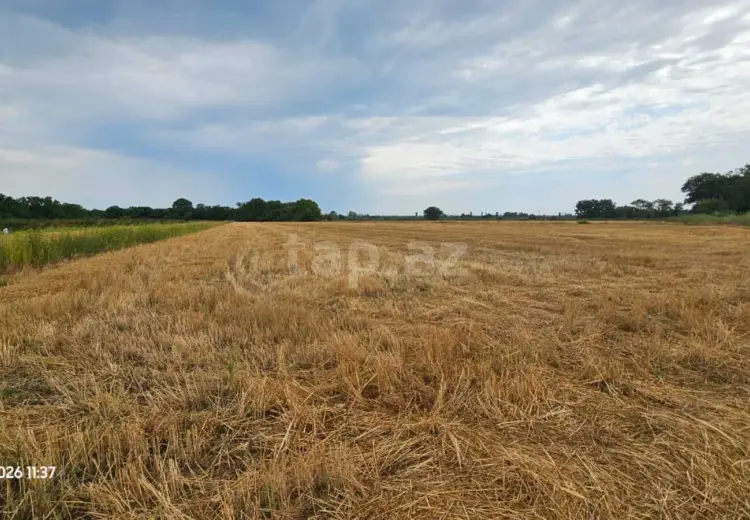0 m² Obyekt / Ofis , Xaçmaz
