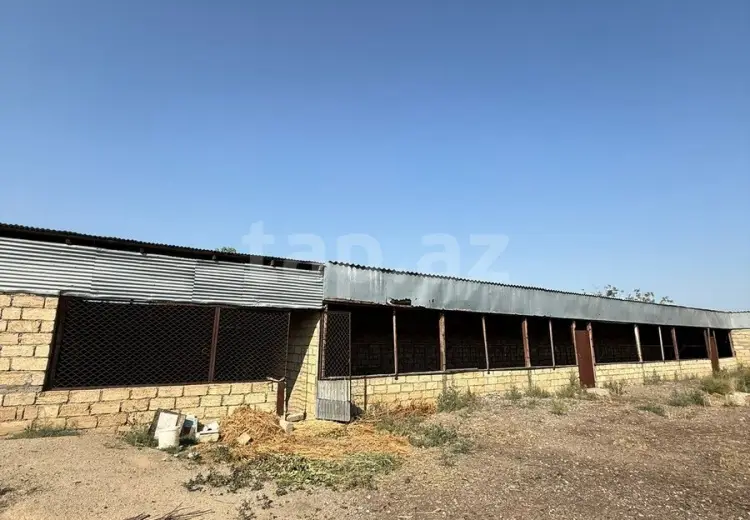 1 otaqlı mənzil , Samux