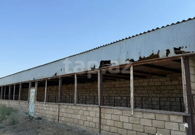 1 otaqlı mənzil , Samux