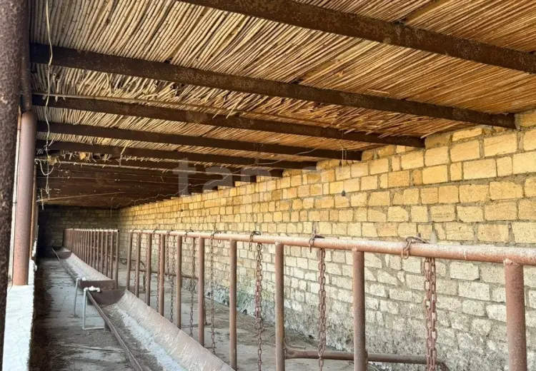 1 otaqlı mənzil , Samux