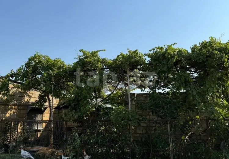 1 otaqlı mənzil , Samux