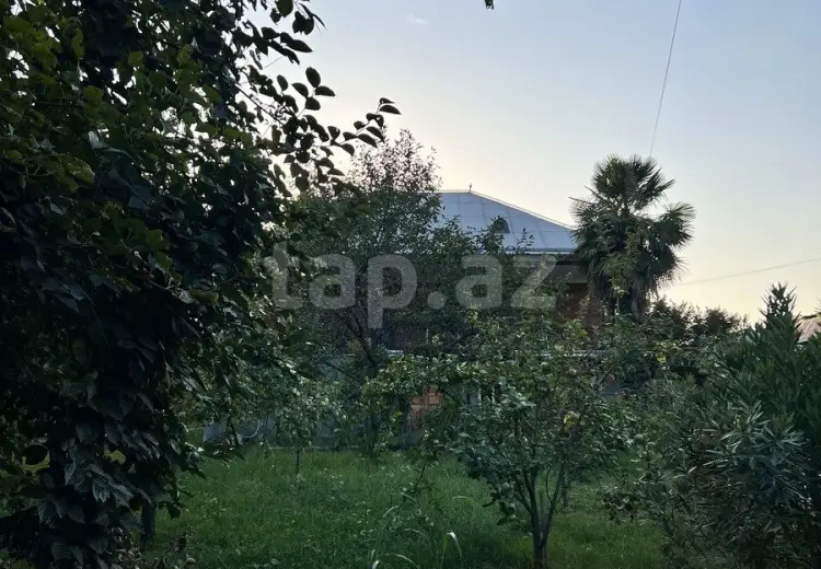 7 otaqlı mənzil , Zaqatala