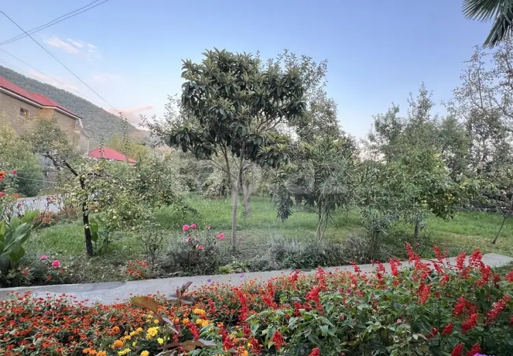 7 otaqlı mənzil , Zaqatala