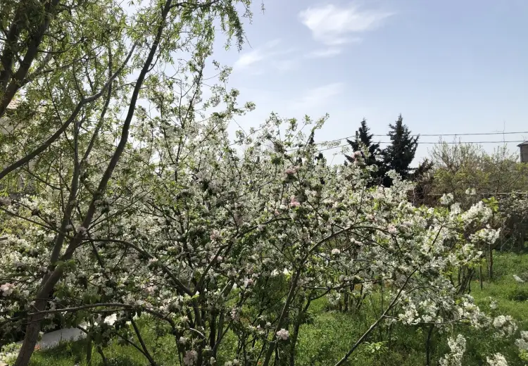 3.4 sot Torpaq Satılır, Badamdar qəs., Səbail, Bakı