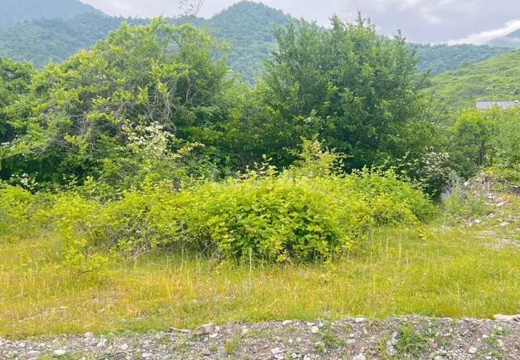 0 m² Obyekt / Ofis , İsmayıllı
