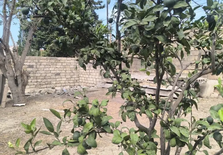 6 sot Torpaq Satılır, Goradil, Abşeron