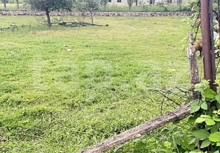 0 m² Obyekt / Ofis , Şamaxı