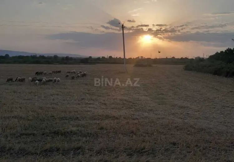 10 sot Torpaq Satılır, Şəki